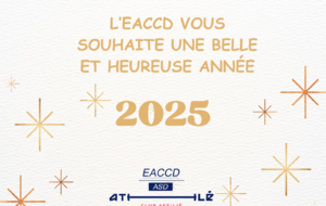 Joyeuse année 2025