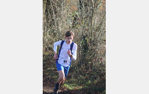 3 Titres individuels et 1 titre par équipe aux départementaux de cross