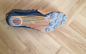 Pointes de sprint / haies