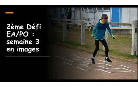 Les poussins s'octroient le podium